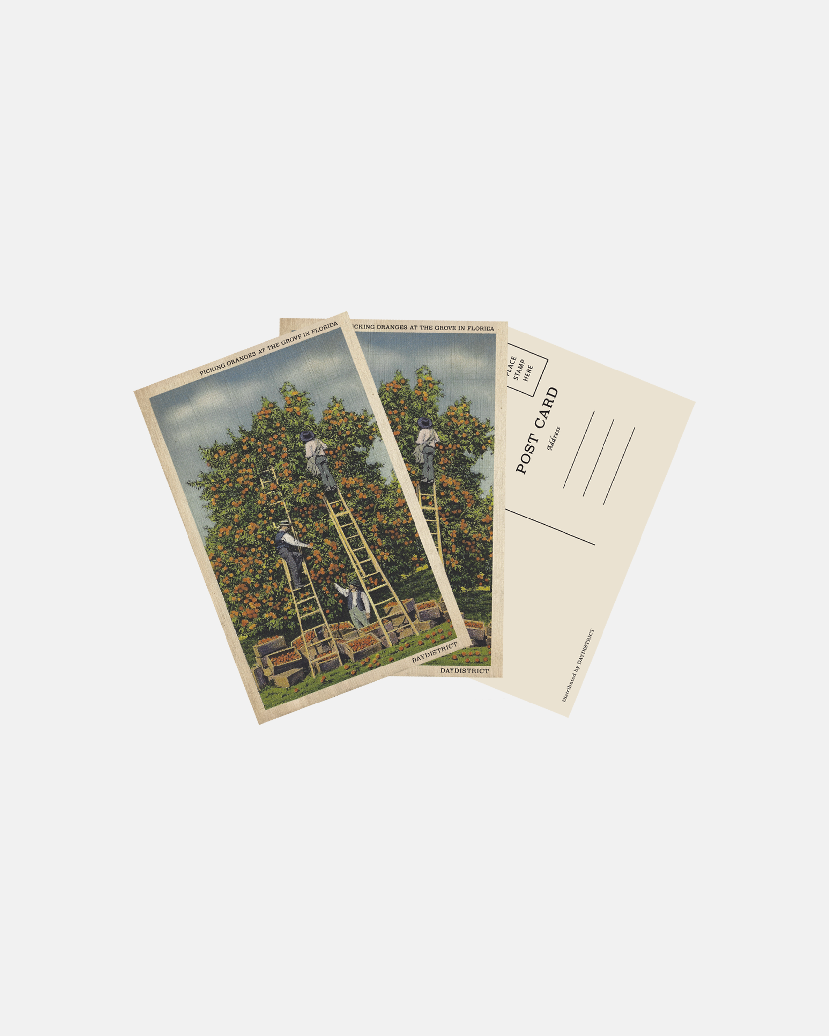 The Grove Post Card Set (3 pack)